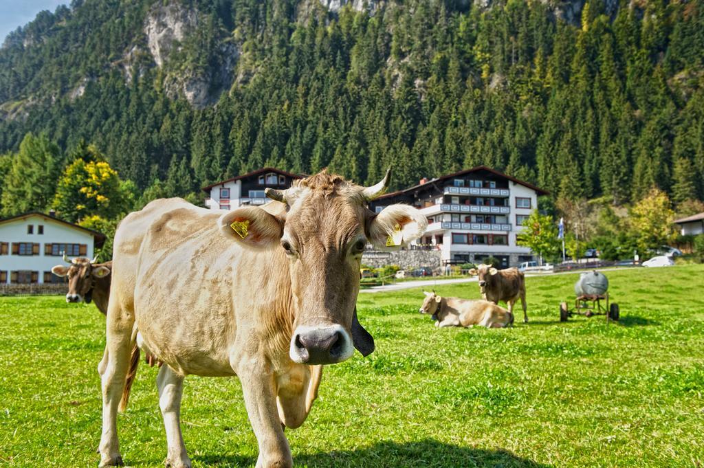 Familotel Bavaria Pfronten-Familien Hotel-Alles Inklusive Konzept 外观 照片